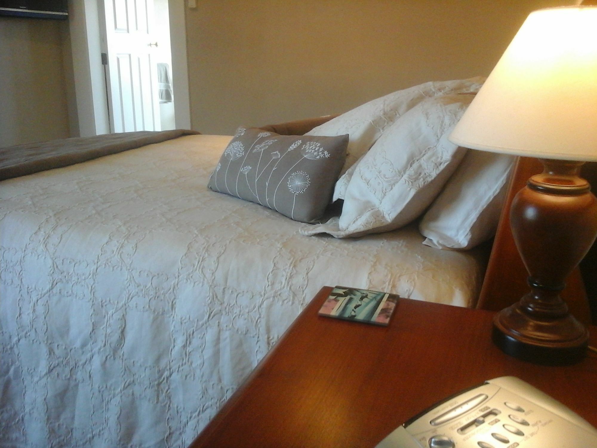 Kershaw House Bed and Breakfast Richmond Buitenkant foto